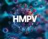 Understanding human metapneumovirus (HMPV) infection risks