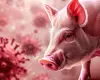 What is swine influenza and how to prevent it effectively