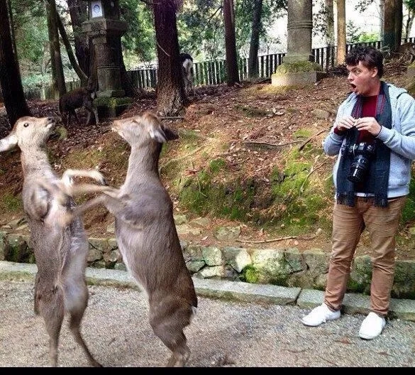 The simple, effective stickman fight meme