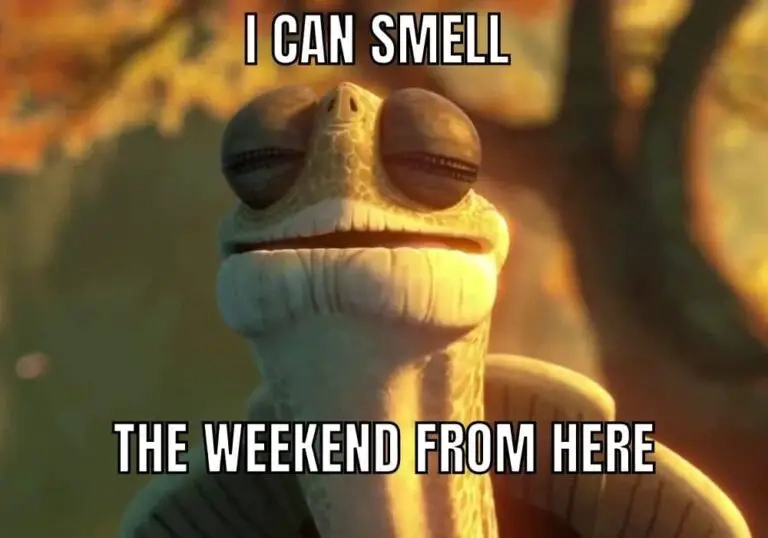 The ultimate holiday weekend meme has arrived