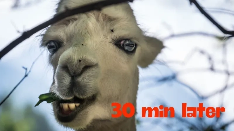 The most famous spongebob time card of all