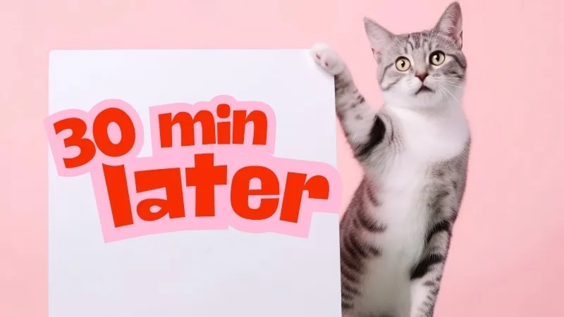 Another great 30 minutes later meme example