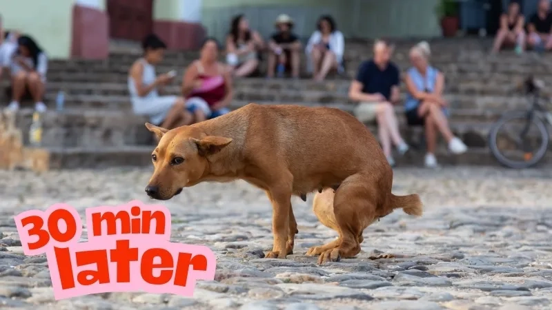 Use this spongebob 30 minutes later card for any situation