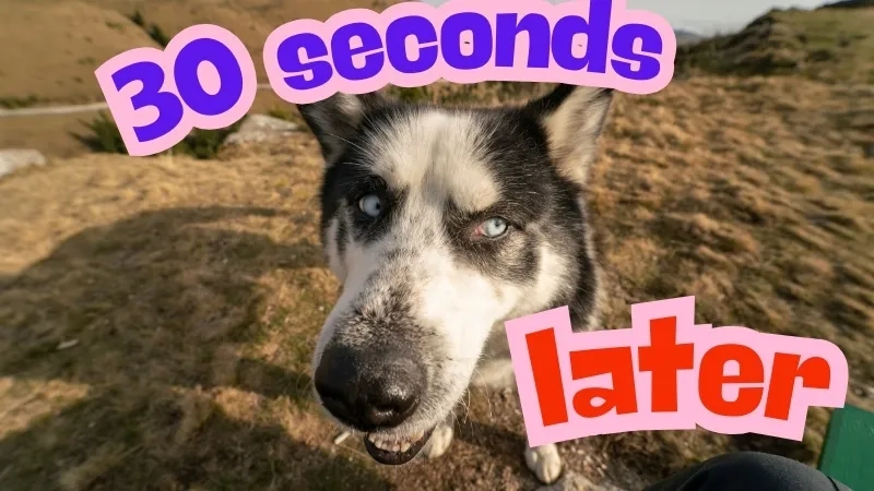 You can almost hear the spongebob narrator voice