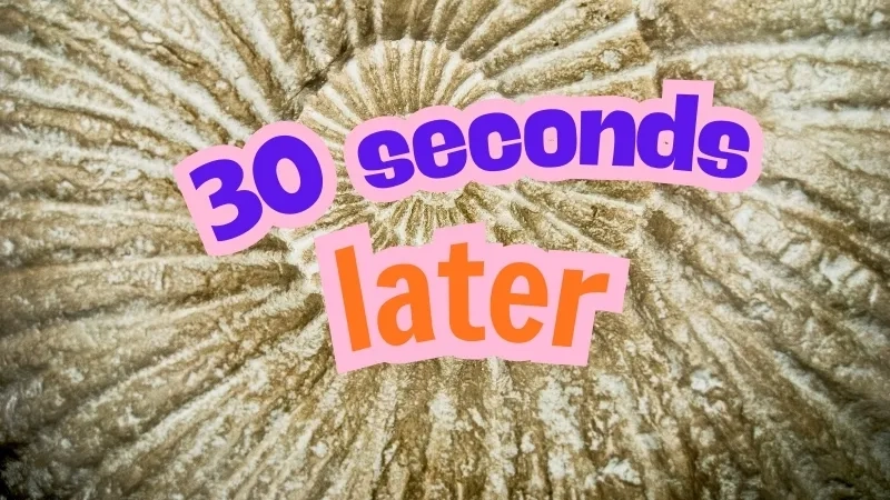 The best spongebob time card moments