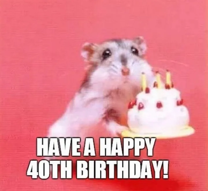 The perfect 40th birthday meme for her