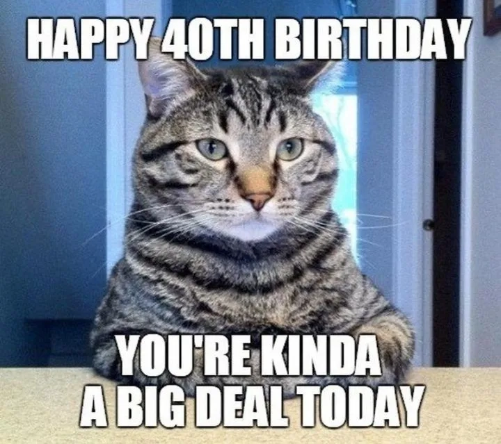 Sharing a funny 40th birthday meme with friends