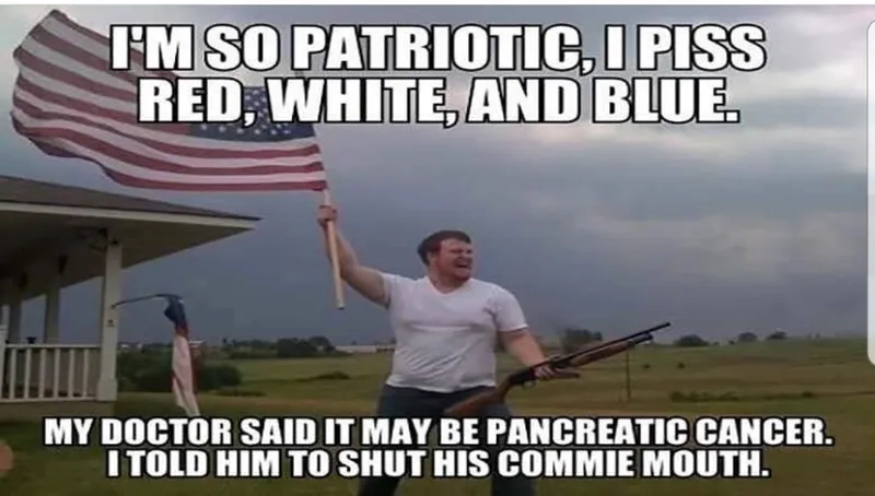 A majestic and funny American eagle meme