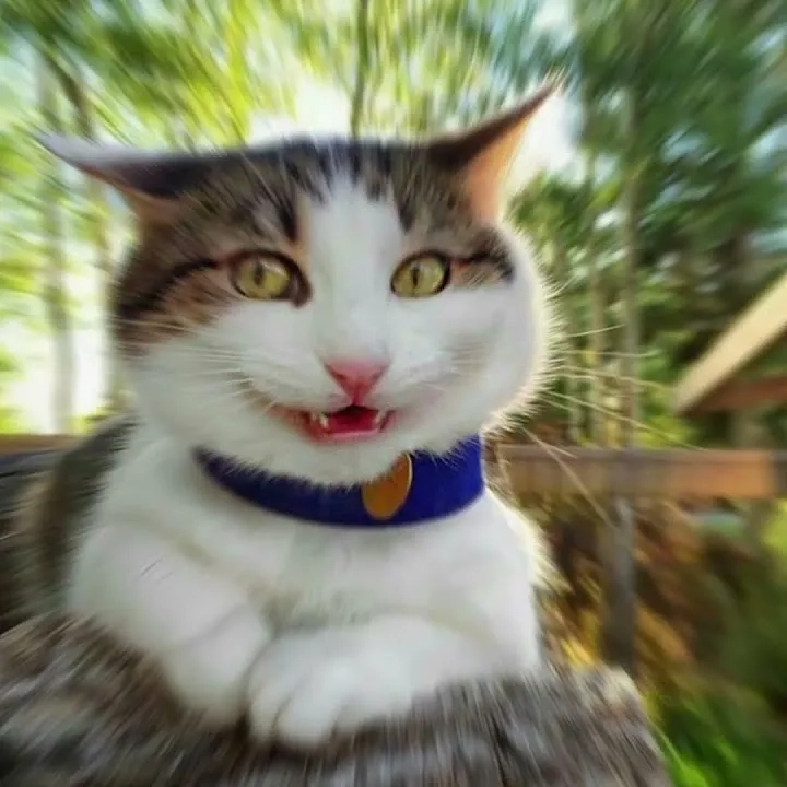 A relatable job application meme about the hiring process