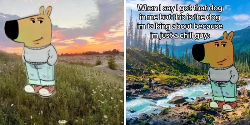 The reaction when he's just a chill guy meme