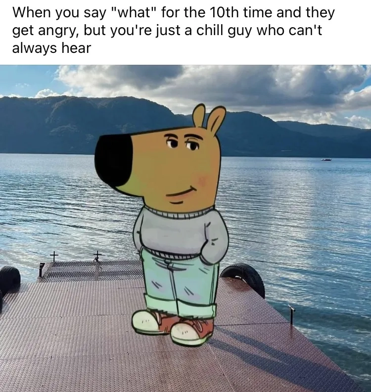 He's the chillest guy you know meme personified