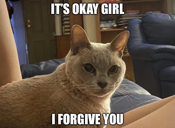 The simple okay hand gesture meme