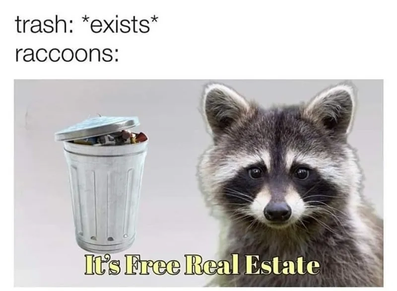 The opposite of the absolute trash meme