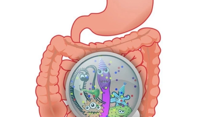 Adenovirus Gastroenteritis vomiting cases
