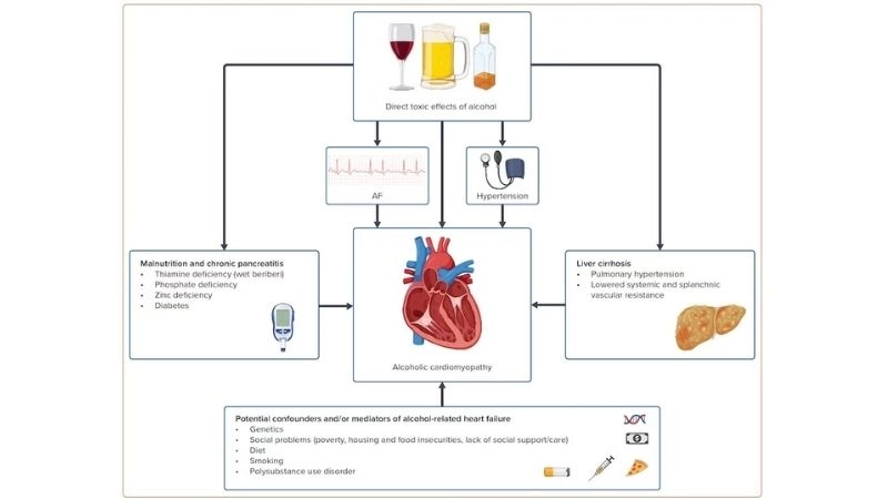 Heavy drinking and heart failure risks of excessive alcohol use