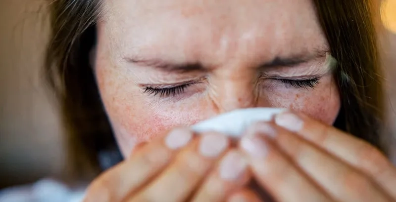 Various types of allergy medicine displayed