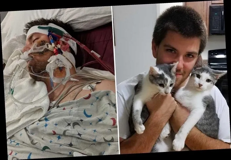 An illustration showing how do you get amebiasis