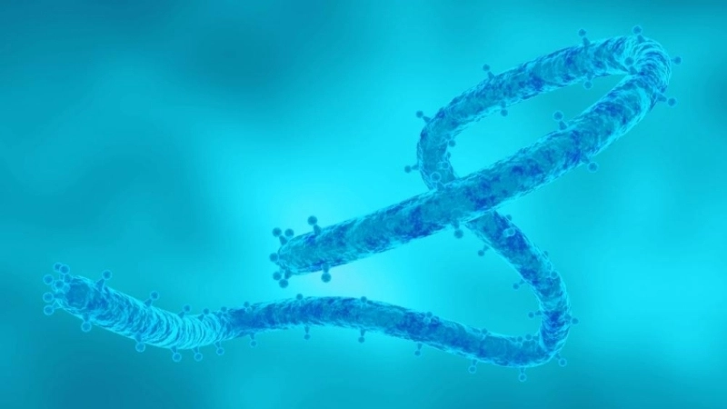 Barmah Forest Virus Disease needs Barmah Forest virus diagnosis