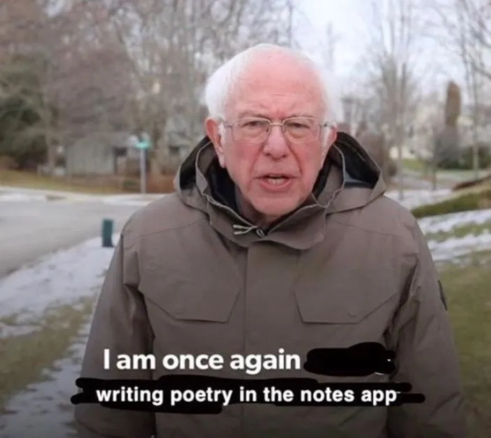 Another great find of the Bernie Sanders mittens meme