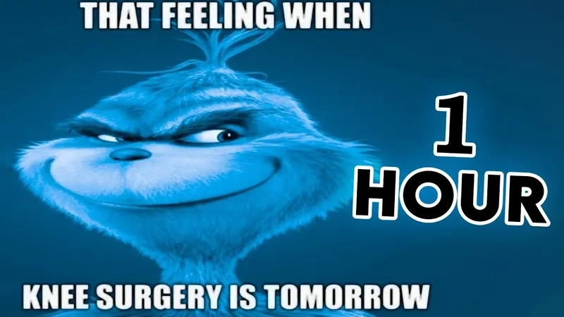 The bizarre and funny grinch tiktok trend