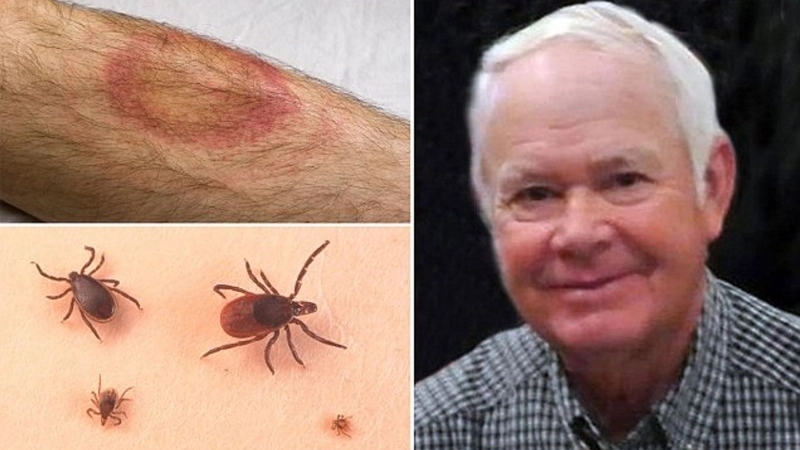 A map highlighting reported Bourbon virus cases globally