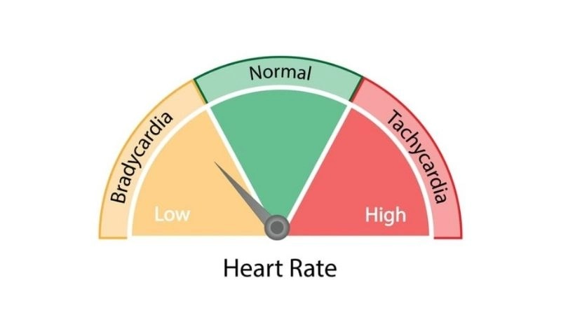 Bradycardia treatment restores normal heart rate and rhythm
