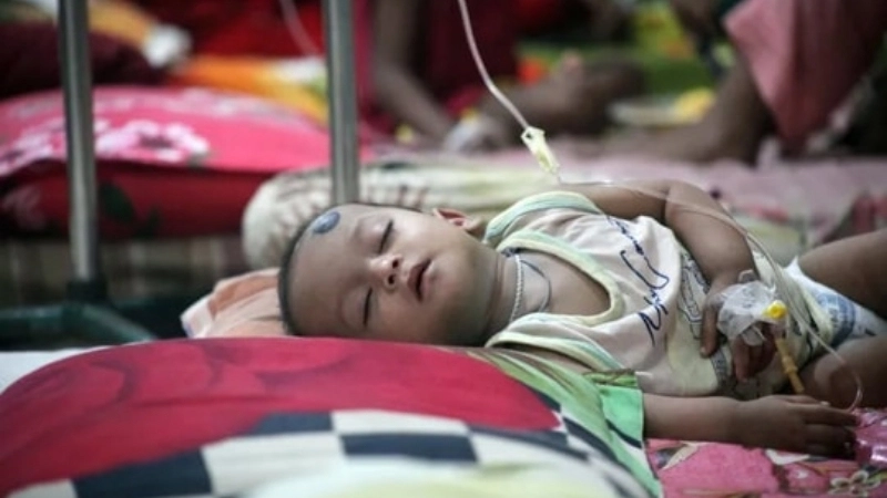 Brazilian Hemorrhagic Fever and fever with hemorrhage cases