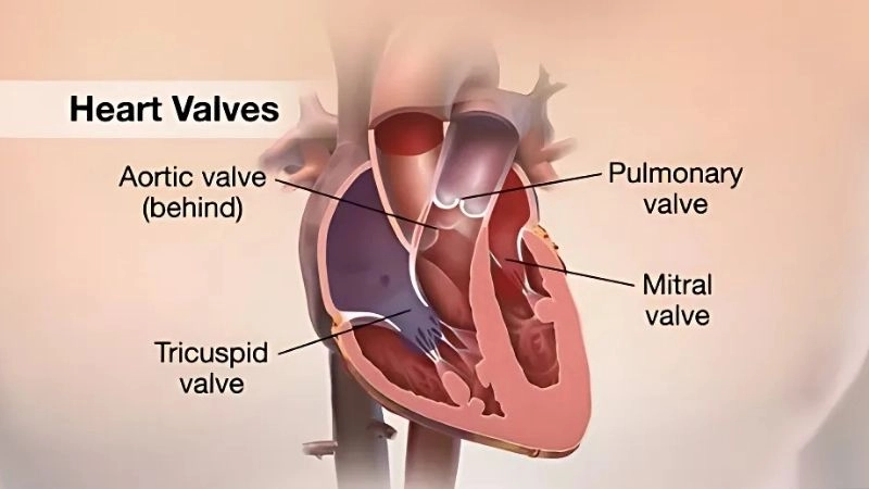 Risks of myocardial contusion complications