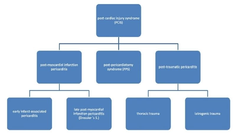 Hopeful journey of heart trauma recovery