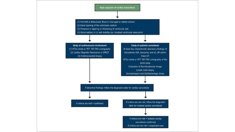 Cardiac sarcoidosis and sudden death dangerous potential risk