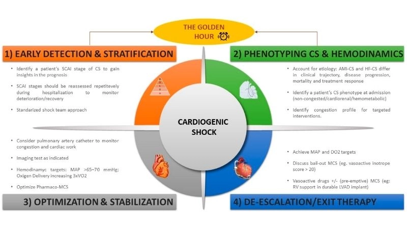 Life saving ways of cardiogenic shock treatment