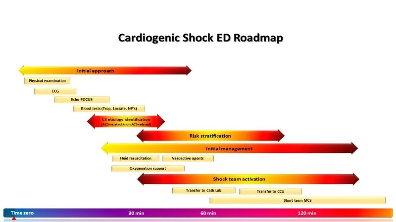 Link between cardiogenic shock and myocardial infarction
