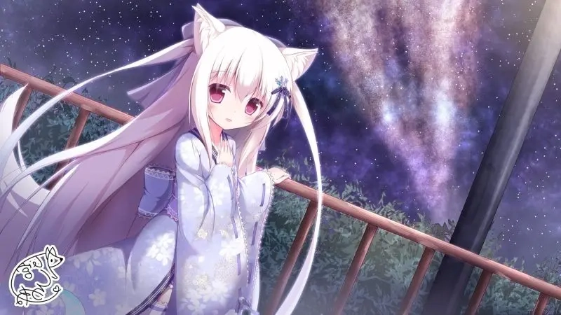 Cute anime cat pfp perfect for your profile