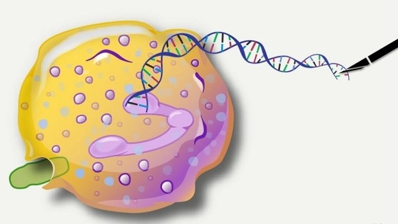 CPVT Genetics linked to inherited heart mutation