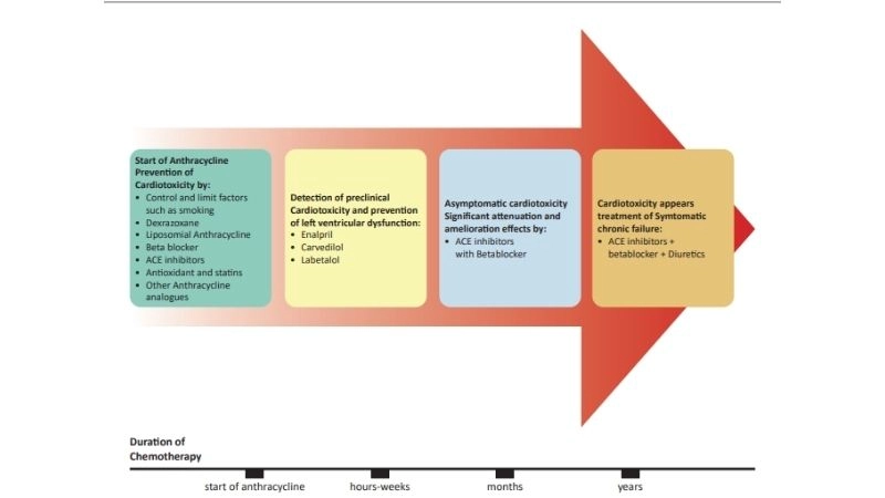Chemotherapy side effects on the heart early detection needed