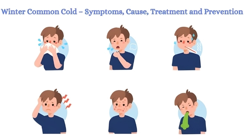 How long a common cold is contagious shown