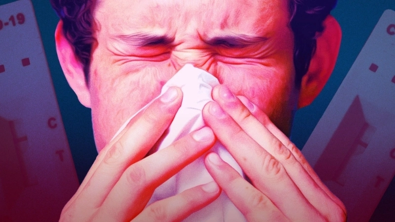 Learn if can common cold cause fever in adults