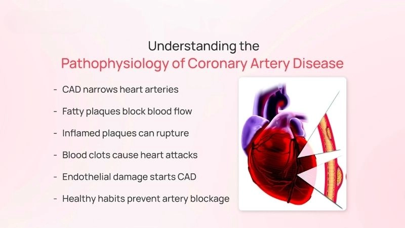 Major hidden coronary artery disease risk factors