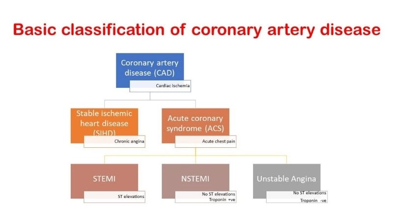 Healthy eating with coronary artery disease diet