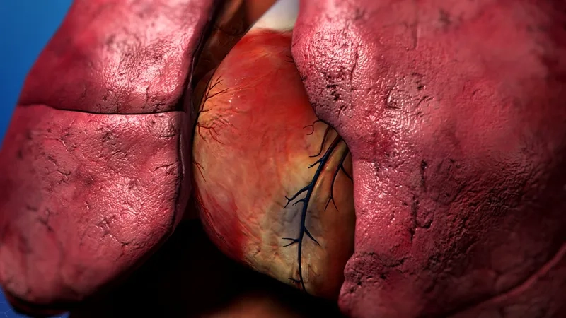 CAD diet supporting cardiovascular health naturally