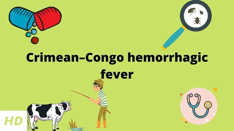 Key Crimean-Congo hemorrhagic fever symptoms to know