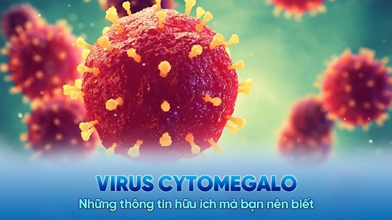 Cytomegalovirus (CMV) Infection cmv in newborns