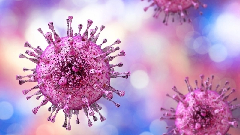 Cytomegalovirus (CMV) Infection cytomegalovirus igg