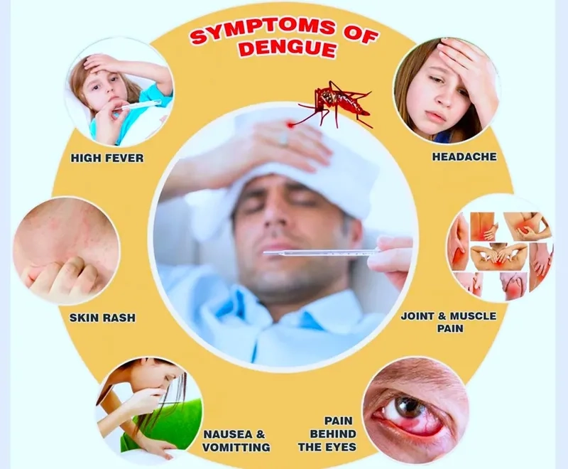 A visual guide to the first signs of dengue fever
