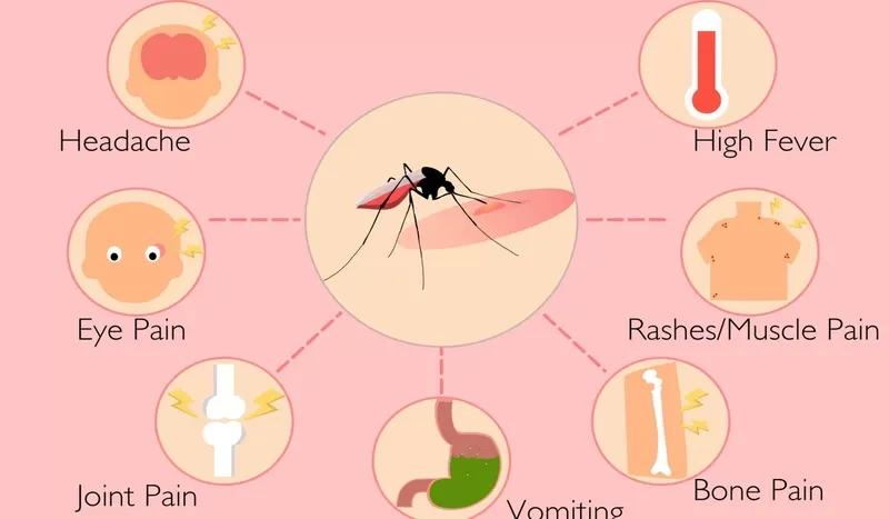 Dengue fever rash stages pictures for identification