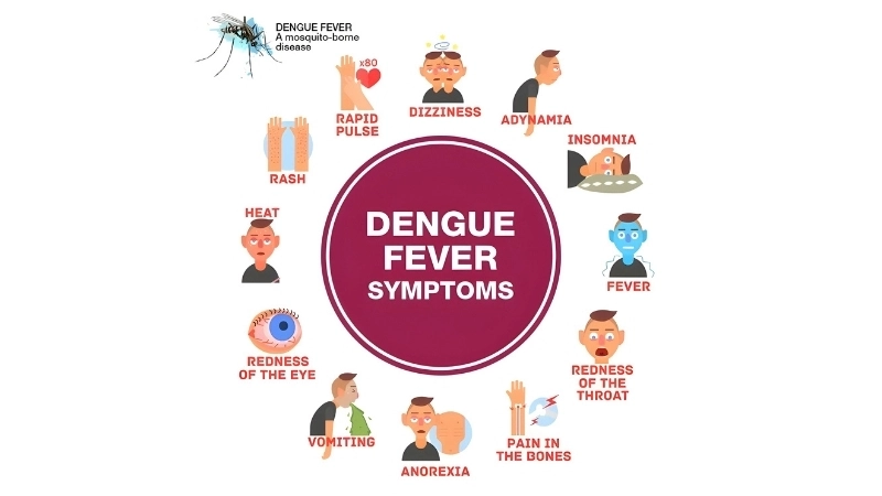 Effective Dengue treatment reduces severe risks