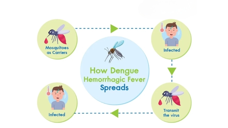 Simple steps ensure Dengue prevention daily