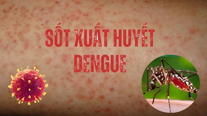 New Dengue vaccine boosts immunity safely
