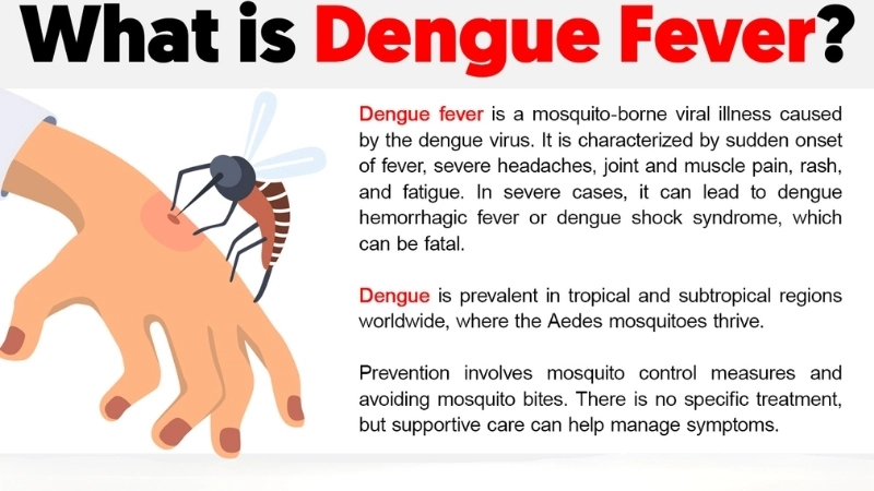 Research shows Dengue virus spreads fast