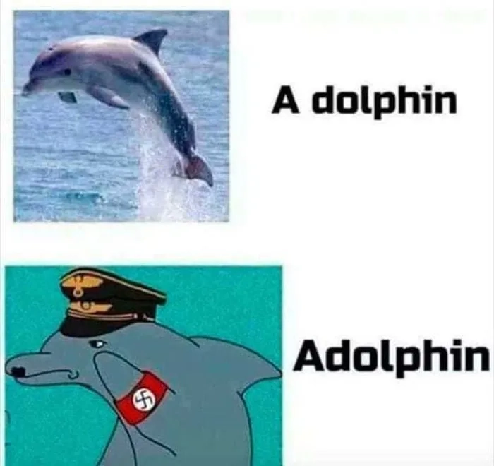 Another weirdly cursed dolphin meme